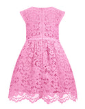 ALLOVIN Girls and Toddler Sleeveless A-Line Lace Party Dress Flower Girl Princess Dress with Beaded Bowknot 2-12 Years