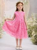 Rose Pink