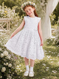 Pure White 1